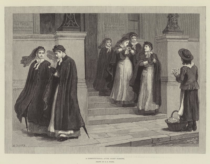 Uma Enfermagem Constitucional Depois da Noite de Edmund Richard White