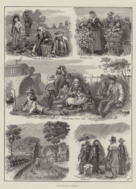 Com os coletores de frutas de Edmund Richard White