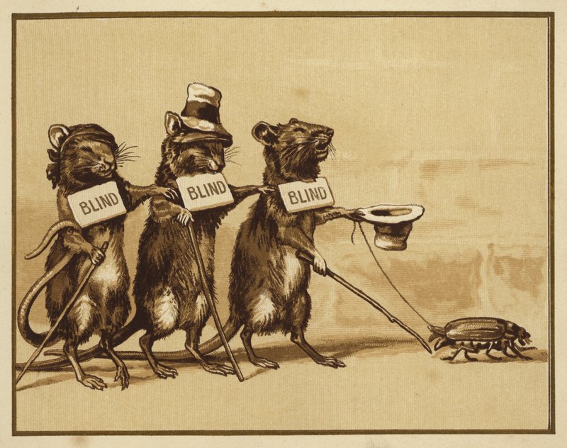 Ilustração para Três Ratos Cegos (cor litho) de Edmund G. Caldwell