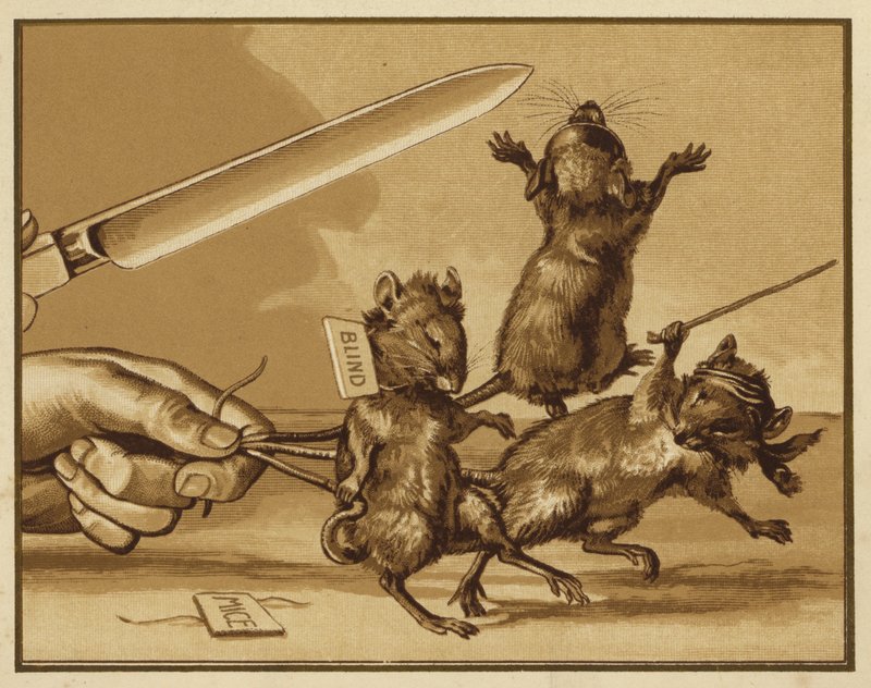 Ilustração para Três Ratos Cegos (cor litho) de Edmund G. Caldwell