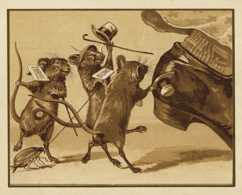 Ilustração para Três Ratos Cegos (lito colorido) de Edmund G. Caldwell