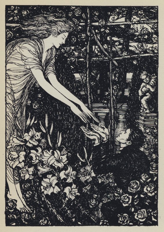 Ilustração para Tennysons Maud de Edmund Joseph after Sullivan