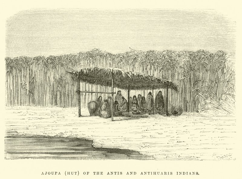 Ajoupa (cabana) dos índios Antis e Antihuaris de Edouard Riou