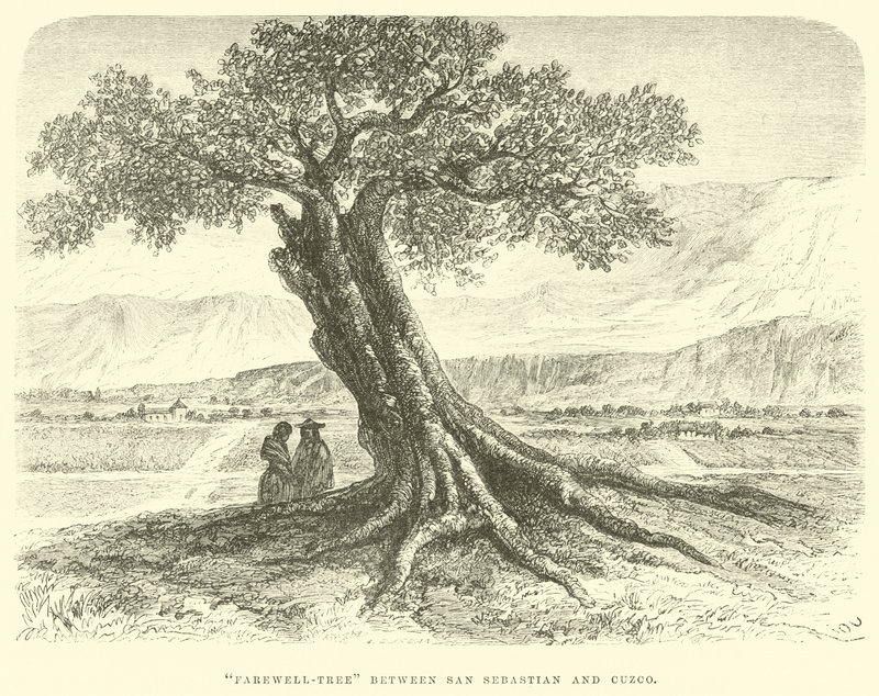 Adeus-árvore entre San Sebastian e Cuzco de Edouard Riou