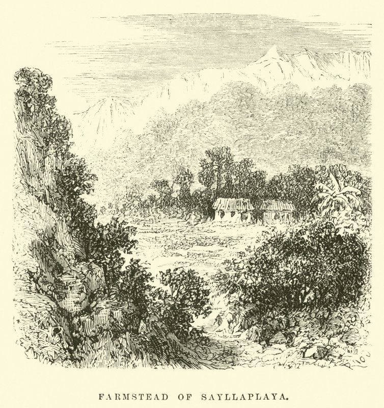 Fazenda de Sayllaplaya de Edouard Riou