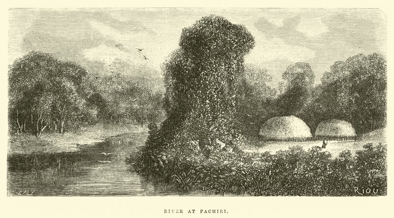 Rio em Pachiri de Edouard Riou