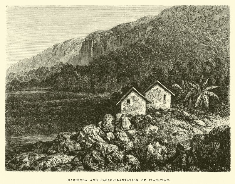 Fazenda e cacau-plantação de Tian-tian de Edouard Riou