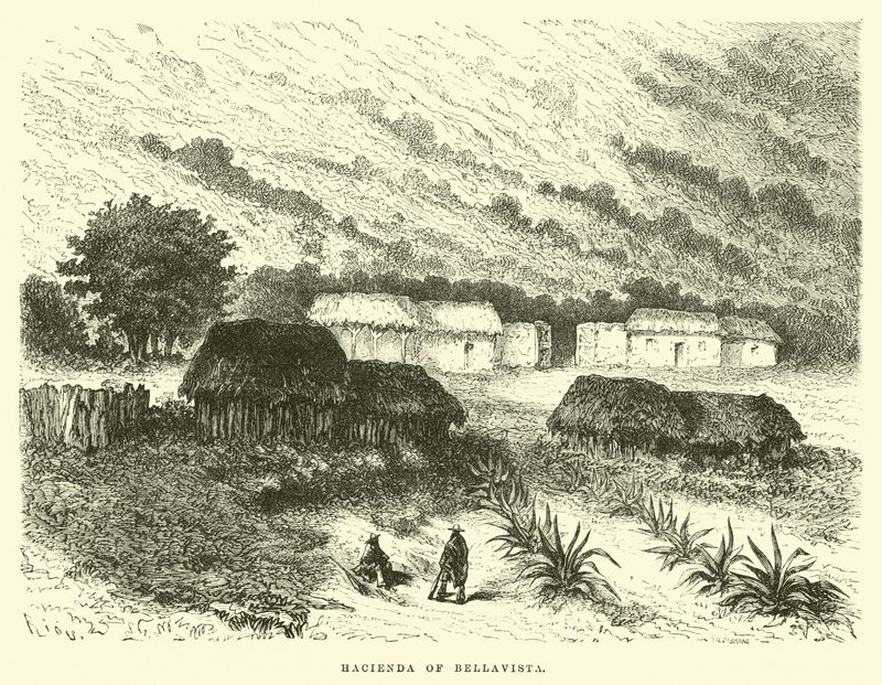 Fazenda de Bellavista de Edouard Riou