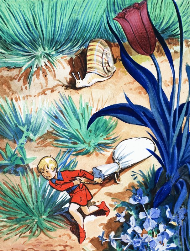 A história de Tom Thumb de Eduardo Teixeira Coelho