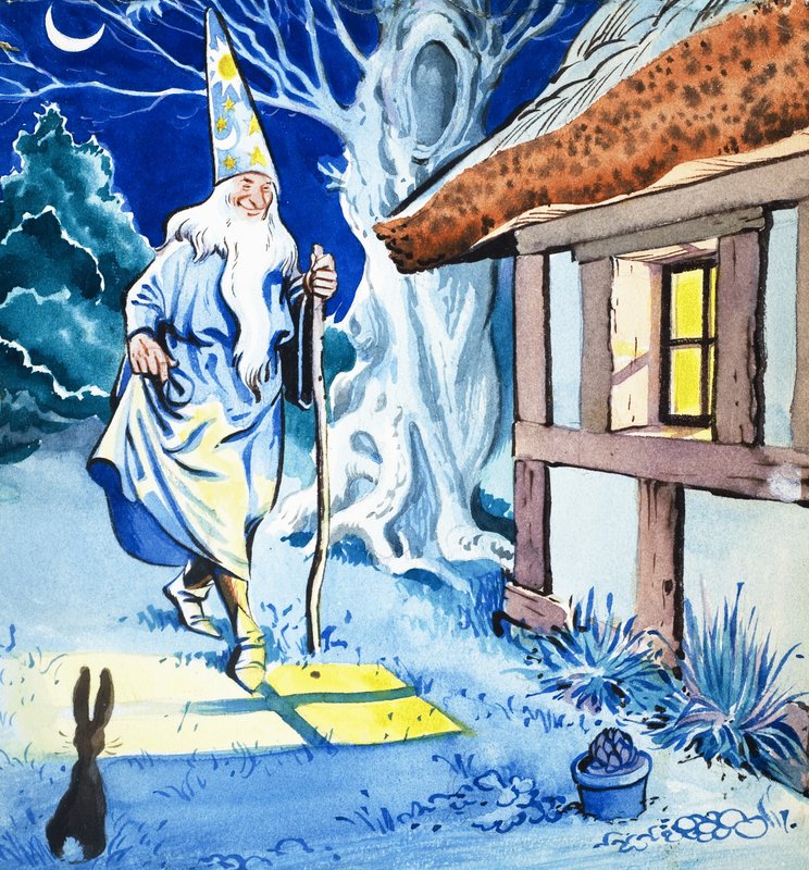 Feiticeiro ao luar de Eduardo Teixeira Coelho