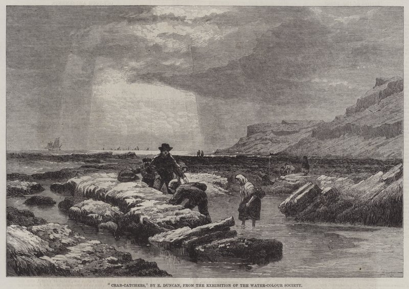 Caranguejos de Edward Duncan