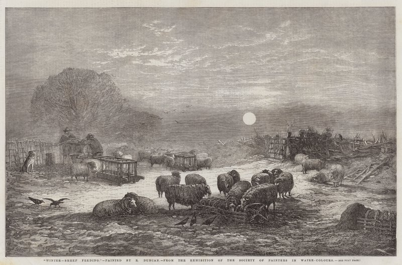 Inverno, Alimentação de Ovelhas, da Exposição da Sociedade de Pintores em Água-Cores de Edward Duncan