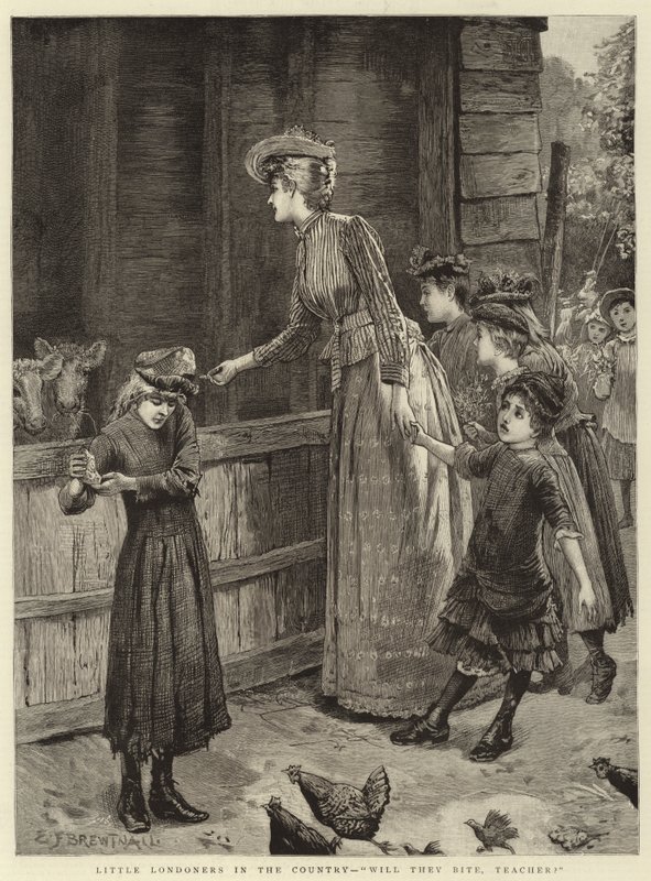 Little Londoners in the Country, eles vão morder, professor de Edward Frederick Brewtnall