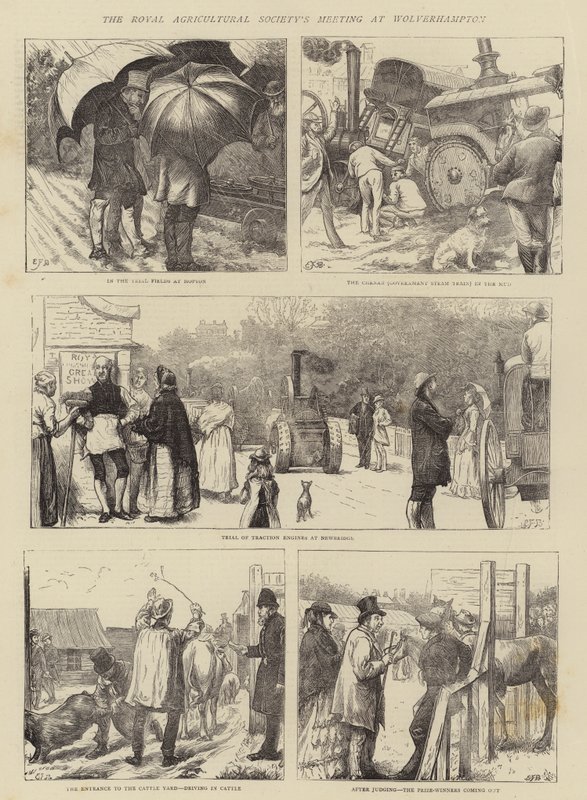 Reunião da Royal Agricultural Society em Wolverhampton de Edward Frederick Brewtnall