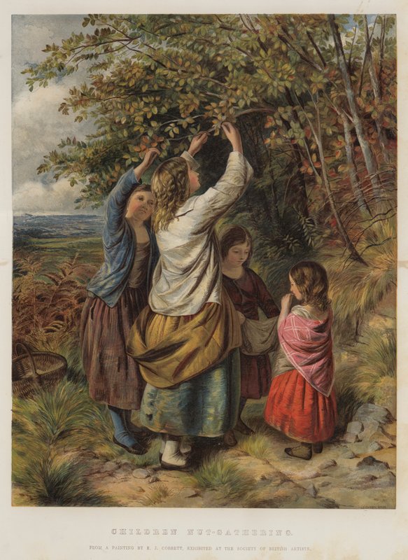 Recolhimento de Porcas Infantis de Edward John Cobbett