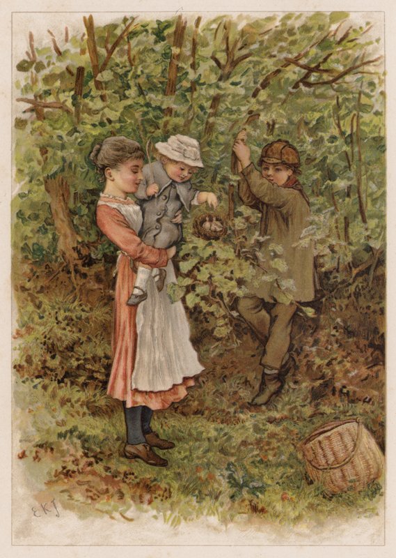 Flapsy e Pecksy de Edward Killingworth Johnson