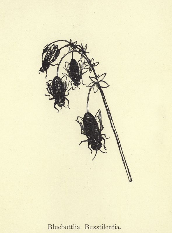 Bluebottlia Buzztilentia de Edward Lear