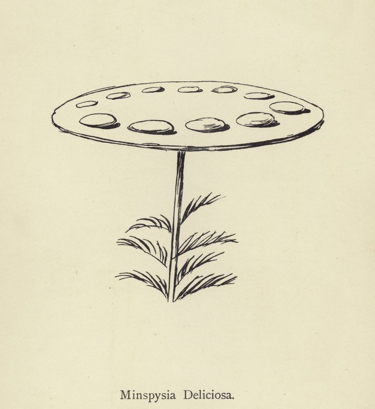 Minspysia Deliciosa  de Edward Lear