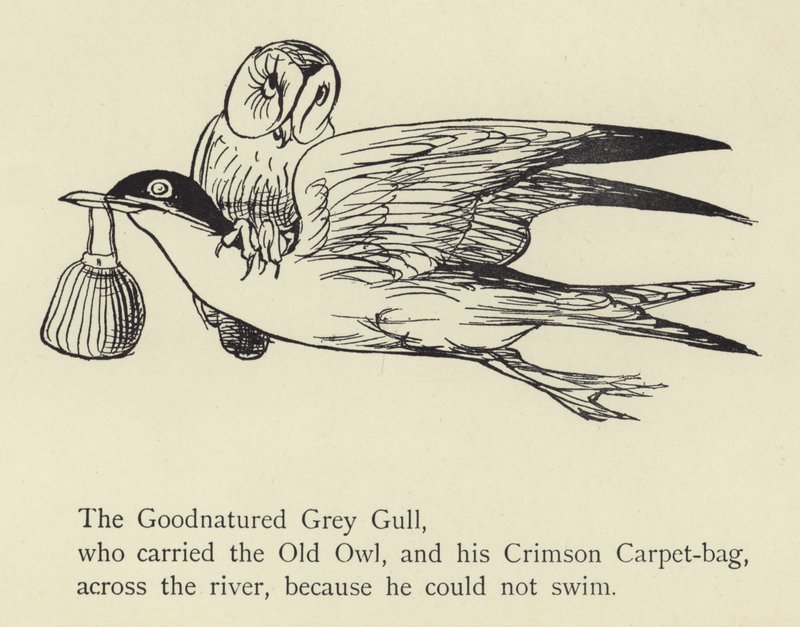 A gaivota cinzenta de Goodnatured de Edward Lear