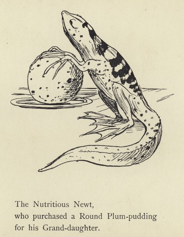 O Newt Nutritivo de Edward Lear