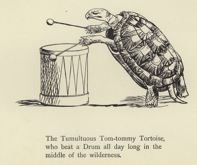 A tartaruga tom-tommy tumultuada de Edward Lear