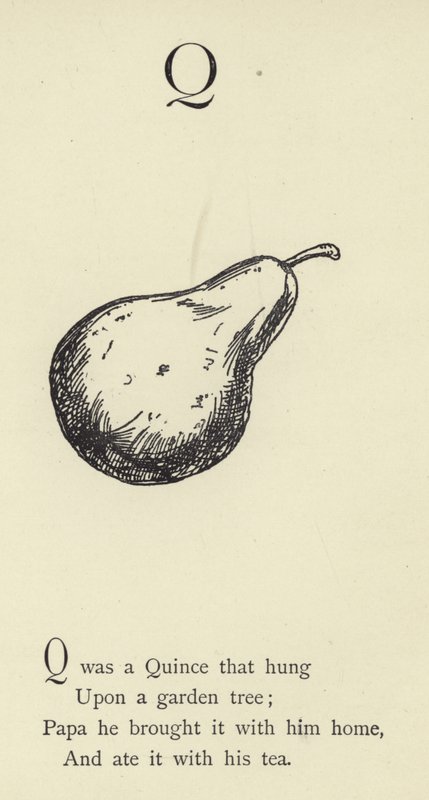 A letra Q de Edward Lear
