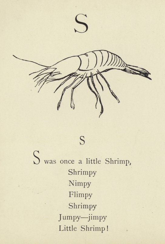 As cartas de Edward Lear