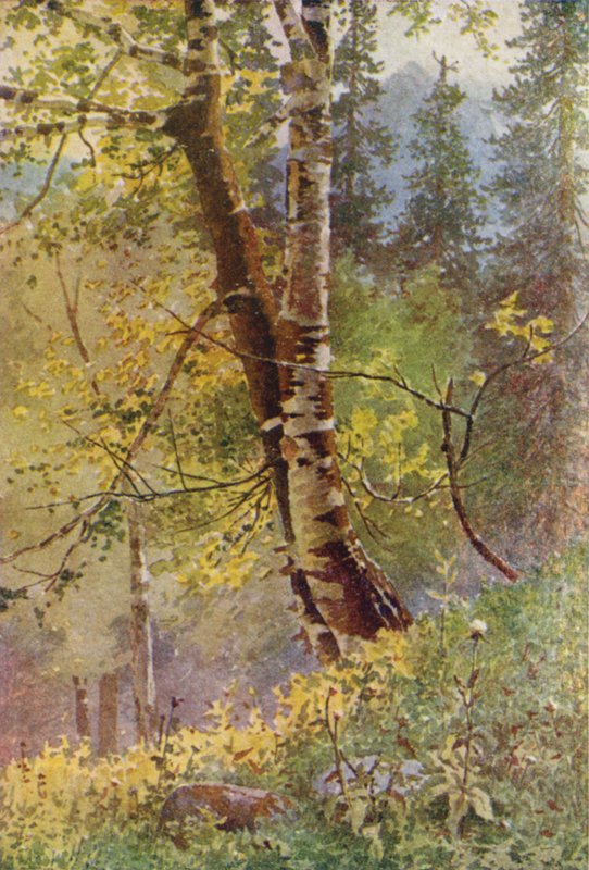 Na floresta de Edward Mary Joseph Molyneux