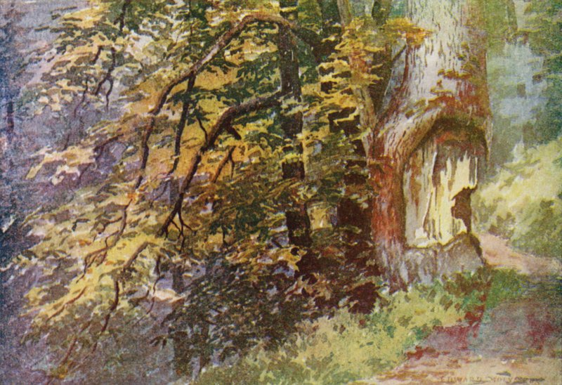 Na estrada circular, Gulmarg de Edward Mary Joseph Molyneux