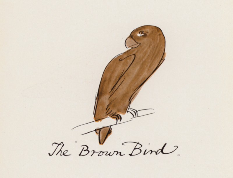 Edward Lear, The Bird Book: The Brown Bird (cor litho) de Edward (after) Lear