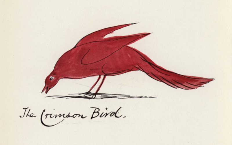 Edward Lear, The Bird Book: The Crimson Bird (cor litho) de Edward (after) Lear