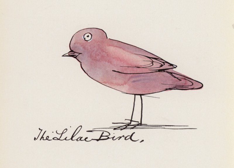 Edward Lear, The Bird Book: The Lilac Bird (cor litho) de Edward (after) Lear