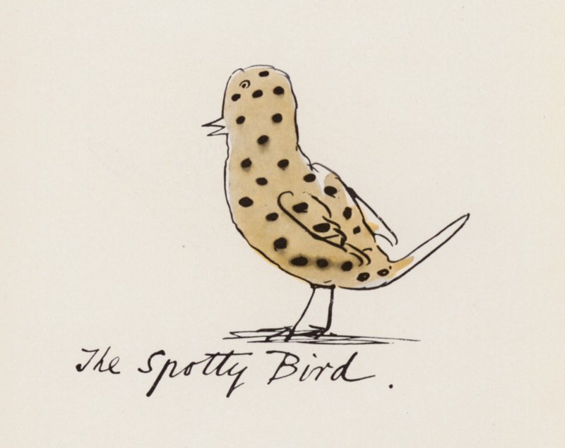 Edward Lear, The Bird Book: The Spotty Bird (cor litho) de Edward (after) Lear