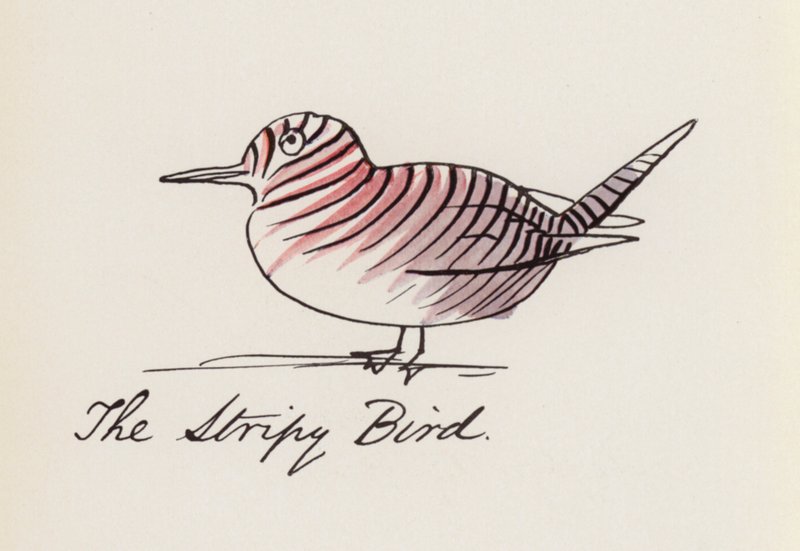 Edward Lear, The Bird Book: The Stripy Bird (cor litho) de Edward (after) Lear