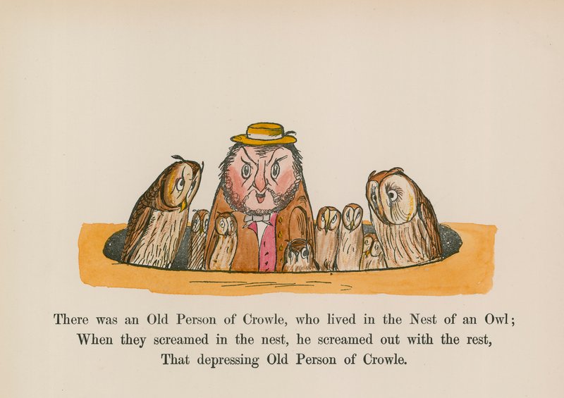 Havia um velho de Crowle, que vivia no ninho de uma coruja (gravura a cores) de Edward (after) Lear