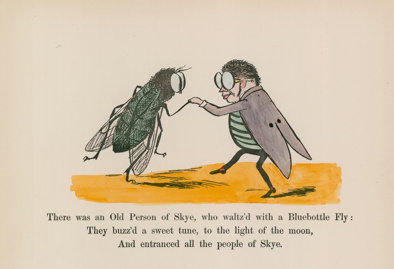 Havia um velho de Skye, que valsava com uma mosca Bluebottle (gravura colorida) de Edward (after) Lear