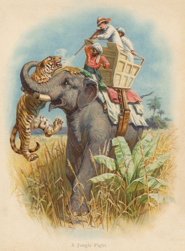 Uma luta na selva (litografia a cores) de Edward Brice Montefiore