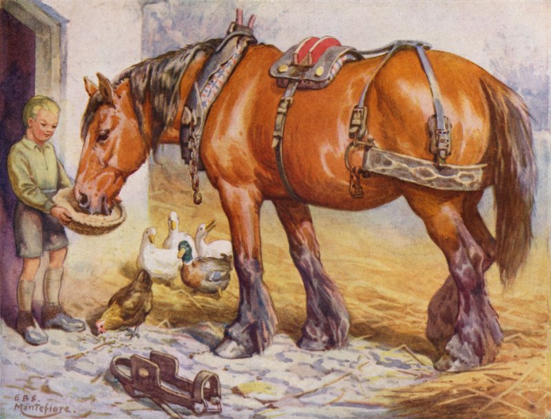 Menino alimentando um cavalo em um curral (lito colorido) de Edward Brice Montefiore