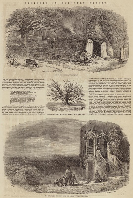 Esboços em Hainault Forest de Edward Duncan
