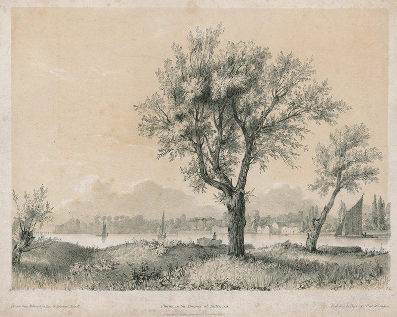 Salgueiros no Tamisa em Battersea de Edward Hassell