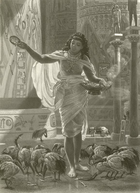 Alimentando os íbis sagrados nos corredores de Karnac de Edward John Poynter