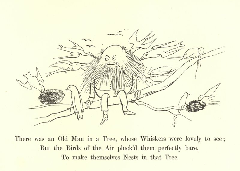Havia um velho em uma árvore, cujos bigodes eram adoráveis de ver de Edward Lear