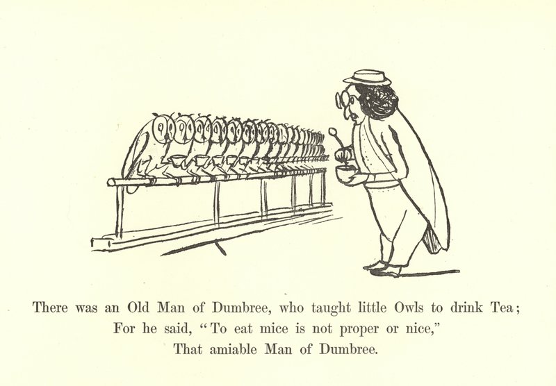 Houve um velho de Dumbree, que ensinou pequenas corujas para beber chá de Edward Lear