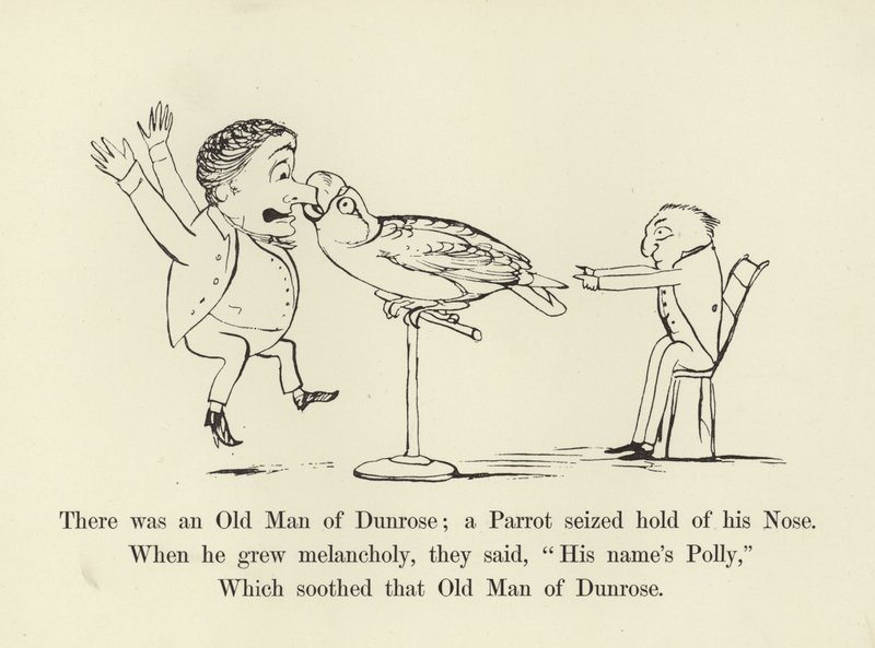 Havia um velho homem de Dunrose; um papagaio agarrou seu nariz de Edward Lear