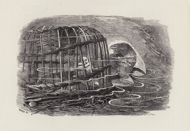 Ilustração para The Water-Babies de Charles Kingsley (gravura) de Edward Linley (after) Sambourne