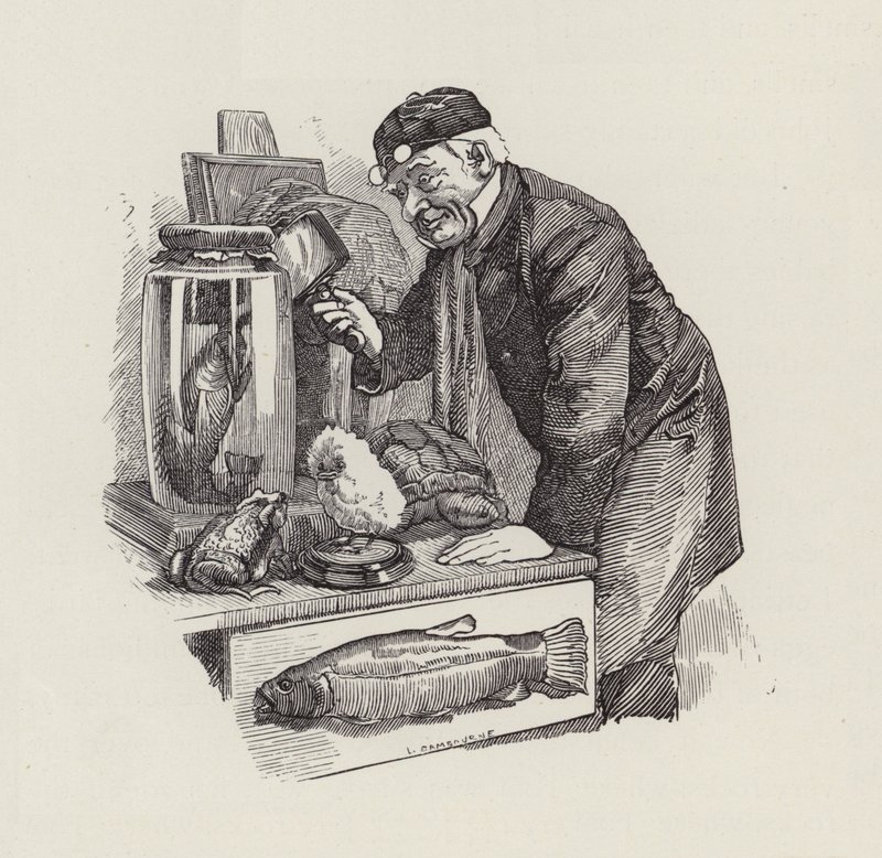 Ilustração para The Water-Babies de Charles Kingsley (gravura) de Edward Linley (after) Sambourne