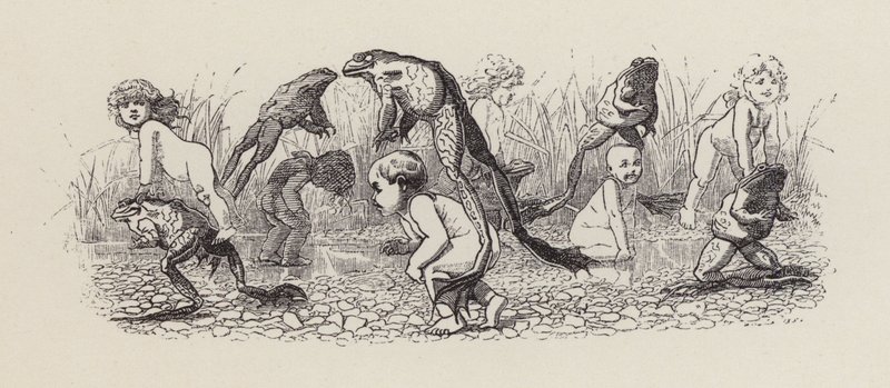 Ilustração para The Water-Babies de Charles Kingsley (gravura) de Edward Linley (after) Sambourne