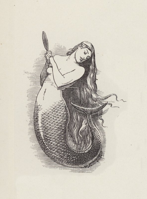 Ilustração para The Water-Babies de Charles Kingsley (gravura) de Edward Linley (after) Sambourne