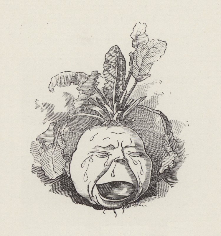 Ilustração para The Water-Babies de Charles Kingsley (gravura) de Edward Linley (after) Sambourne
