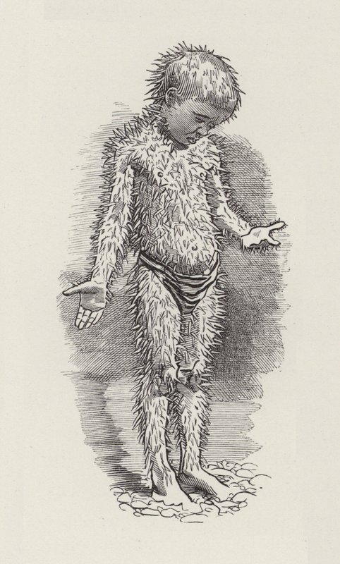 Ilustração para The Water-Babies de Charles Kingsley (gravura) de Edward Linley (after) Sambourne